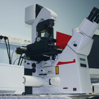 共焦点レーザー顕微鏡のイメージ